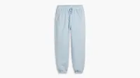 Women's WFH Sweatpants (Plus Size)