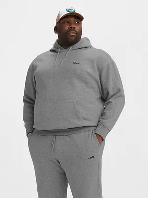 Levi's® Hoodie Sweatshirt (Big)