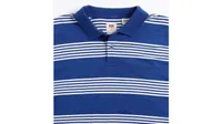 Relaxed Authentic Striped Polo Shirt