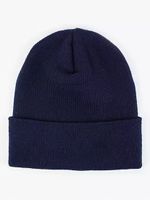 Beanie with Wordmark Logo