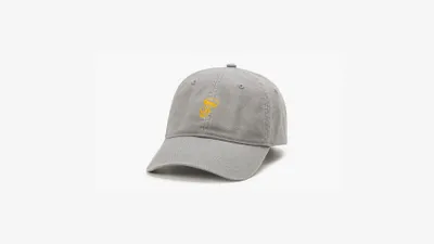 Mini Graphic Cap