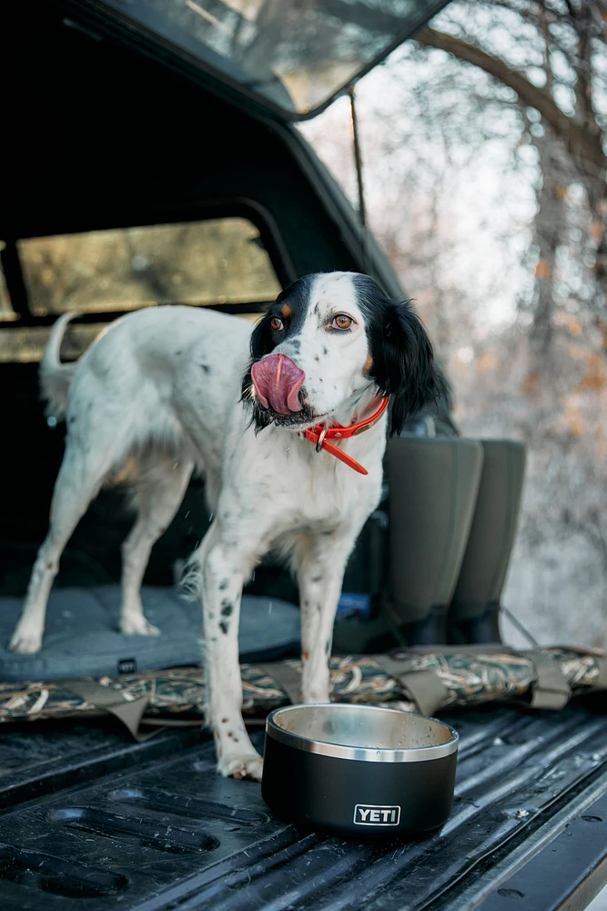 YETI Boomer™ 8 Dog Bowl