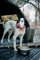 YETI Boomer™ 8 Dog Bowl