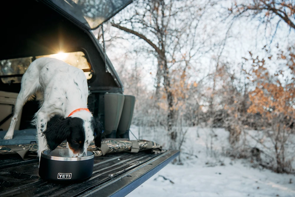 YETI Boomer™ 8 Dog Bowl