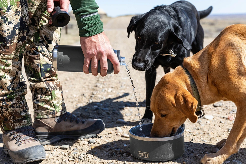 YETI Boomer™ 4 Dog Bowl