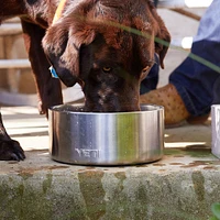 YETI Boomer™ 4 Dog Bowl