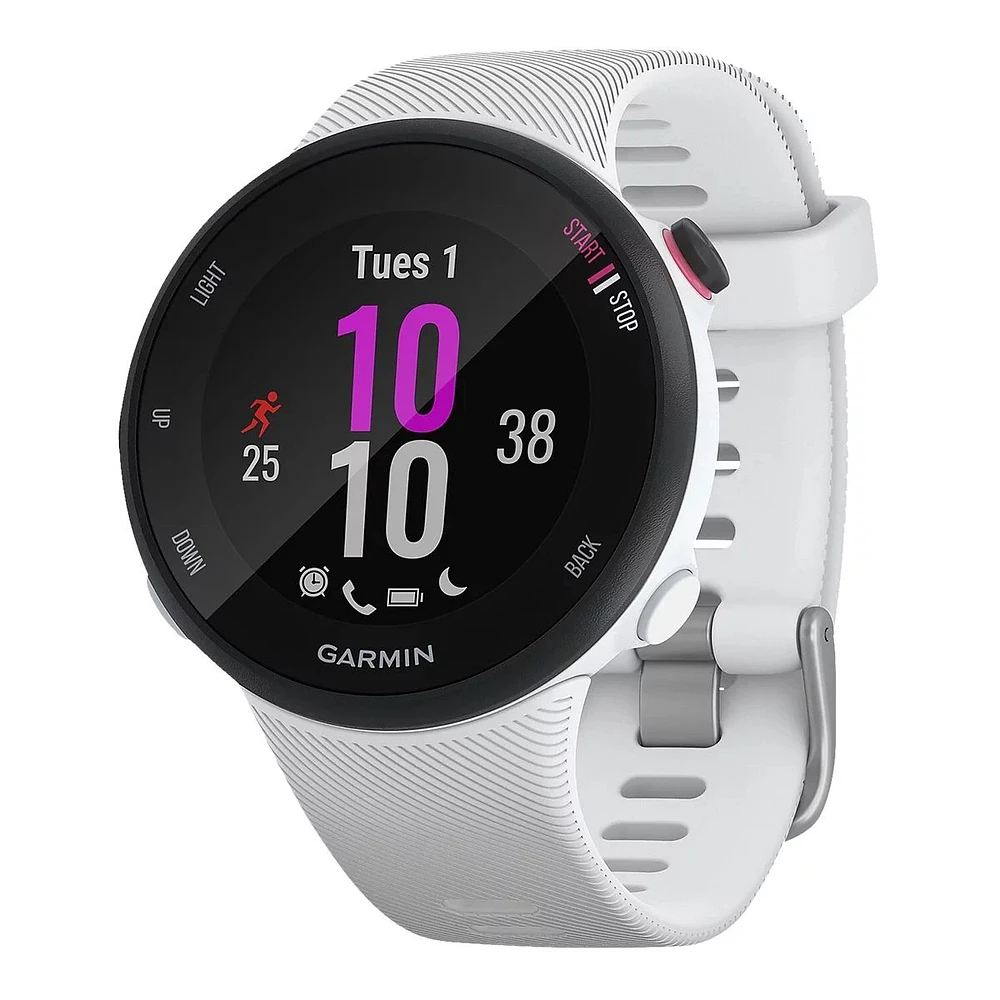 Garmin Forerunner 45S Fitness Watch