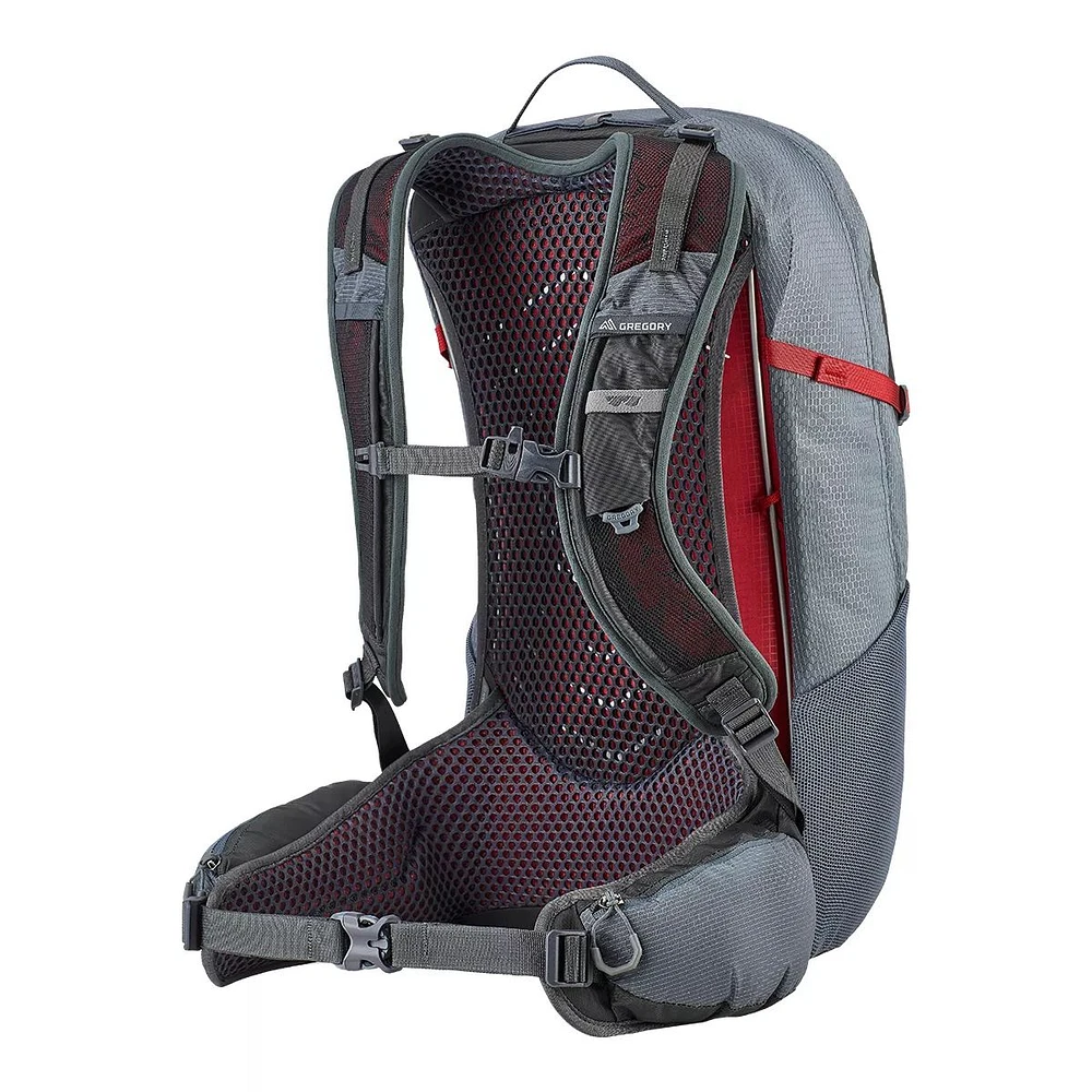 Gregory Citro 24L Backpack