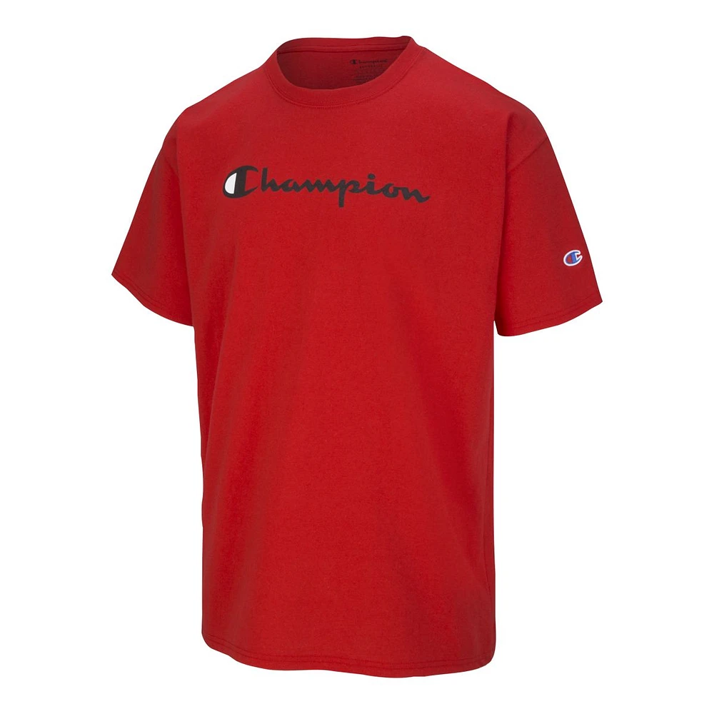 Champion Men's Classic Jersey Screen Print T-Shirt