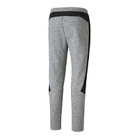 Puma Men's Evostripe Tapered Pants