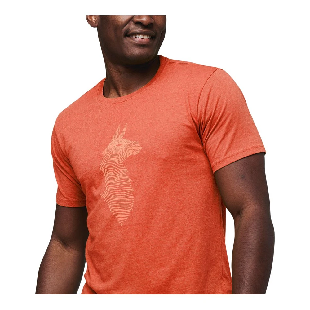 Cotopaxi Men's Topo Llama Organic T Shirt