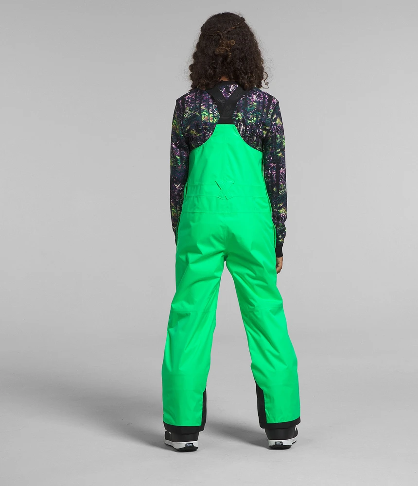 The North Face Boys' Freedom Bib Insulated Pants