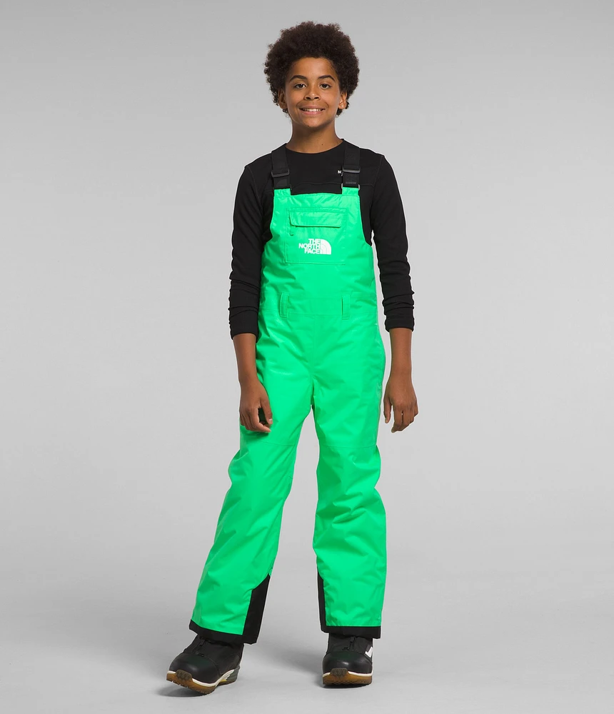 The North Face Boys' Freedom Bib Insulated Pants