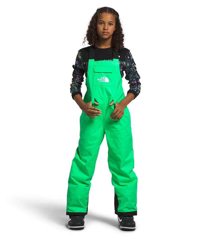 The North Face Boys' Freedom Bib Insulated Pants