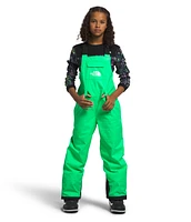 The North Face Boys' Freedom Bib Insulated Pants