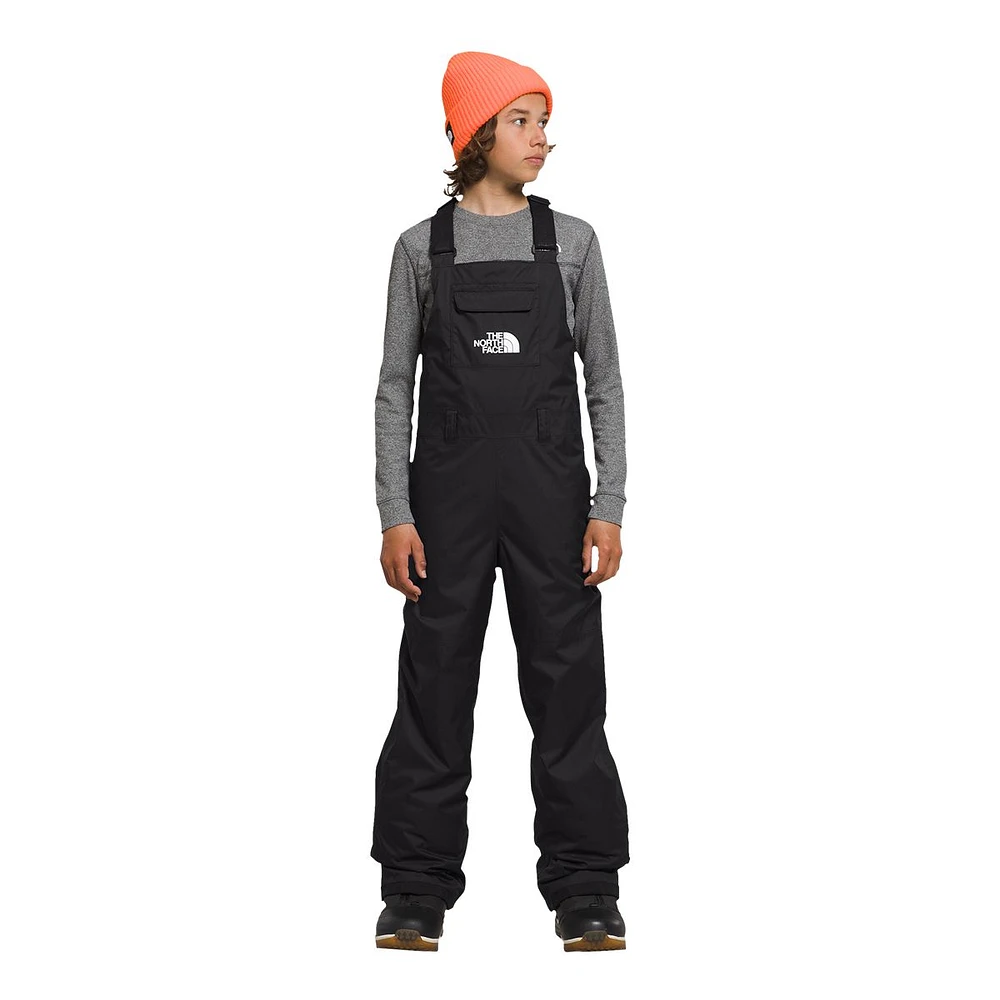 The North Face Boys' Freedom Bib Insulated Pants