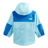 The North Face Toddler Boys' Warm Storm Shell Jacket