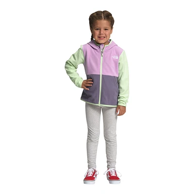 The North Face Toddler Girls' 2-6 Glacier Full Zip Hoodie