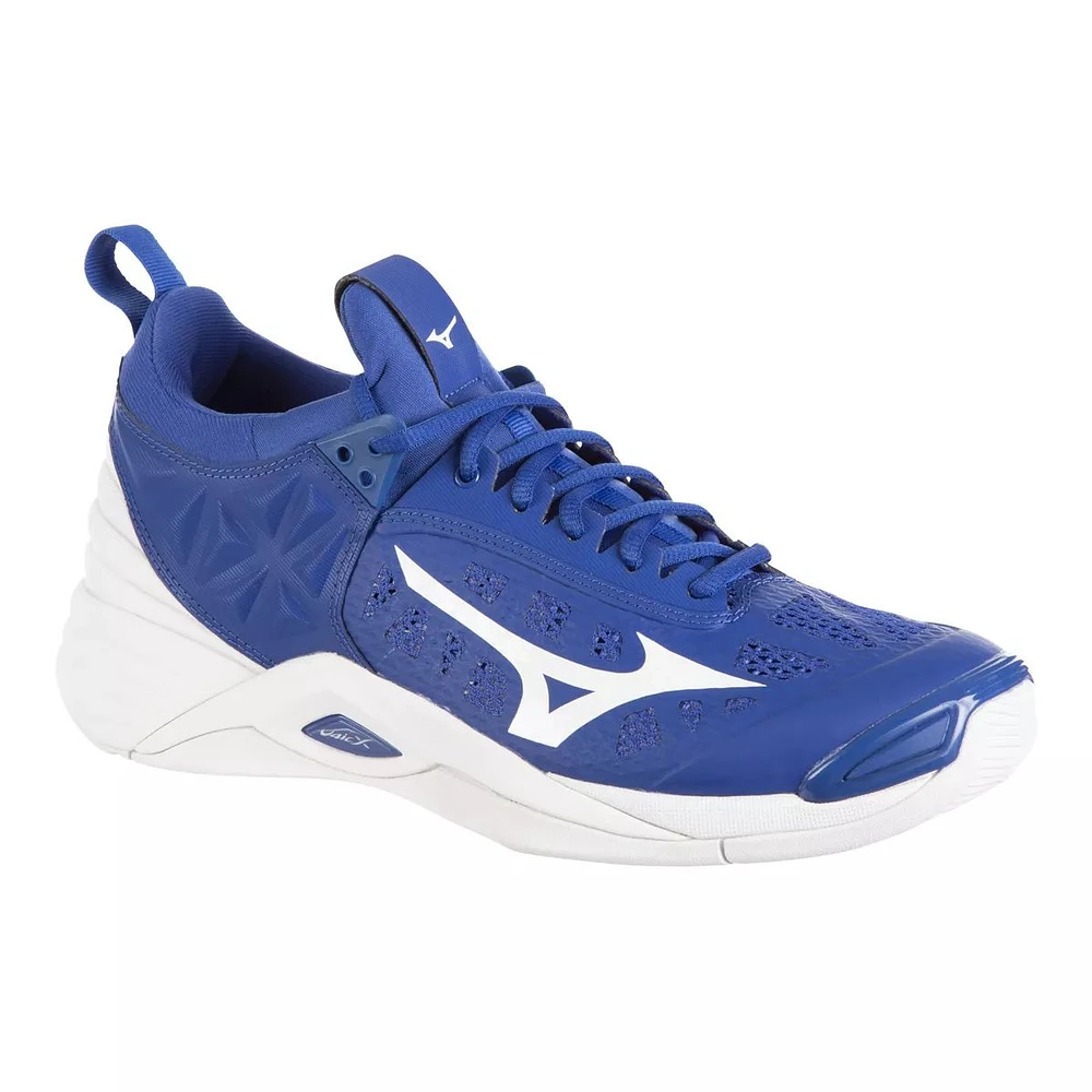 Mizuno Men's Wave Momentum Indoor Court Volleyball Shoes, Tennis, Badminton