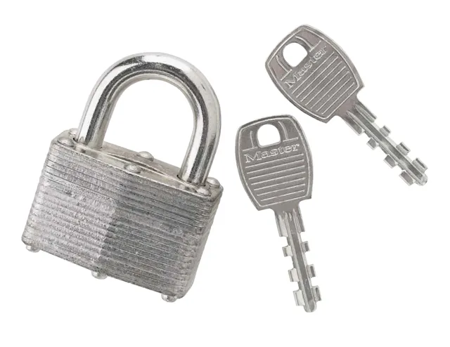 Master Lock 51mm-Wide Laminated Steel Keyed Padlock with 25mm Shackles,  Silver