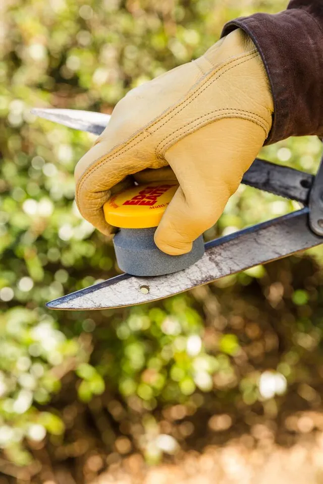 Speedy Sharp Carbide-Edge Blade