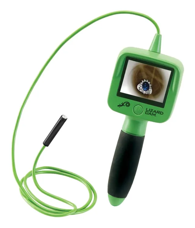 lizard inspection camera