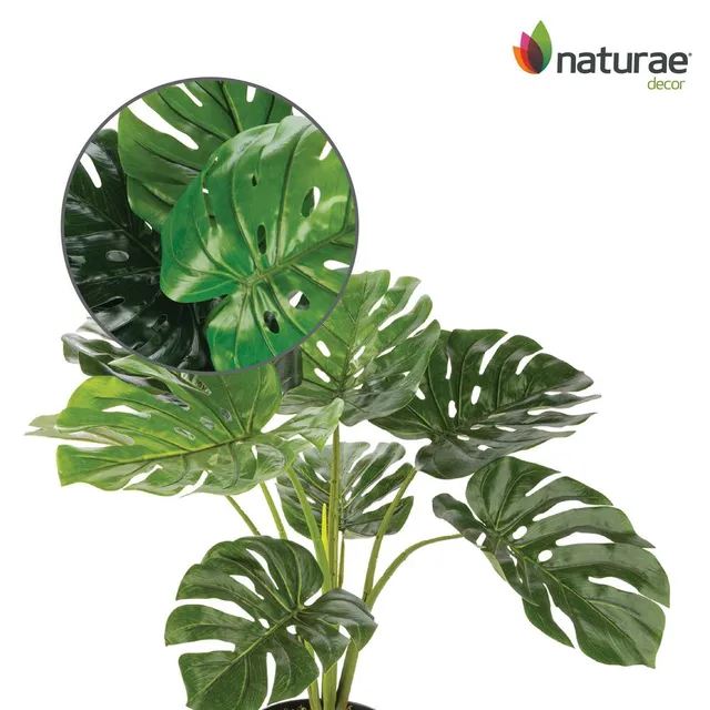 Monstera artificielle Naturae Decor, 23 po