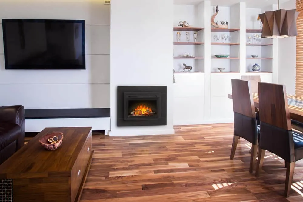 Napoleon Fireplace Insert with Trim Kit, 24-in | Hillside Shopping Centre
