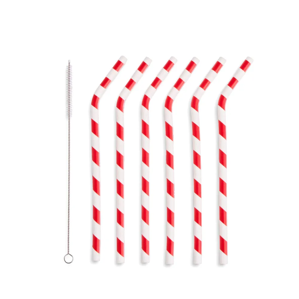 Core 6pc Stainless Steal Straw Set with Silicone Tip