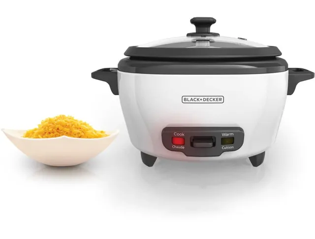 rc1653 automatic rice cooker