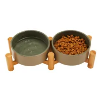 EveryYay Dining In Elevated Double Diner Dog Feeder, 4 Cups