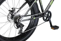 schwinn biggity bike