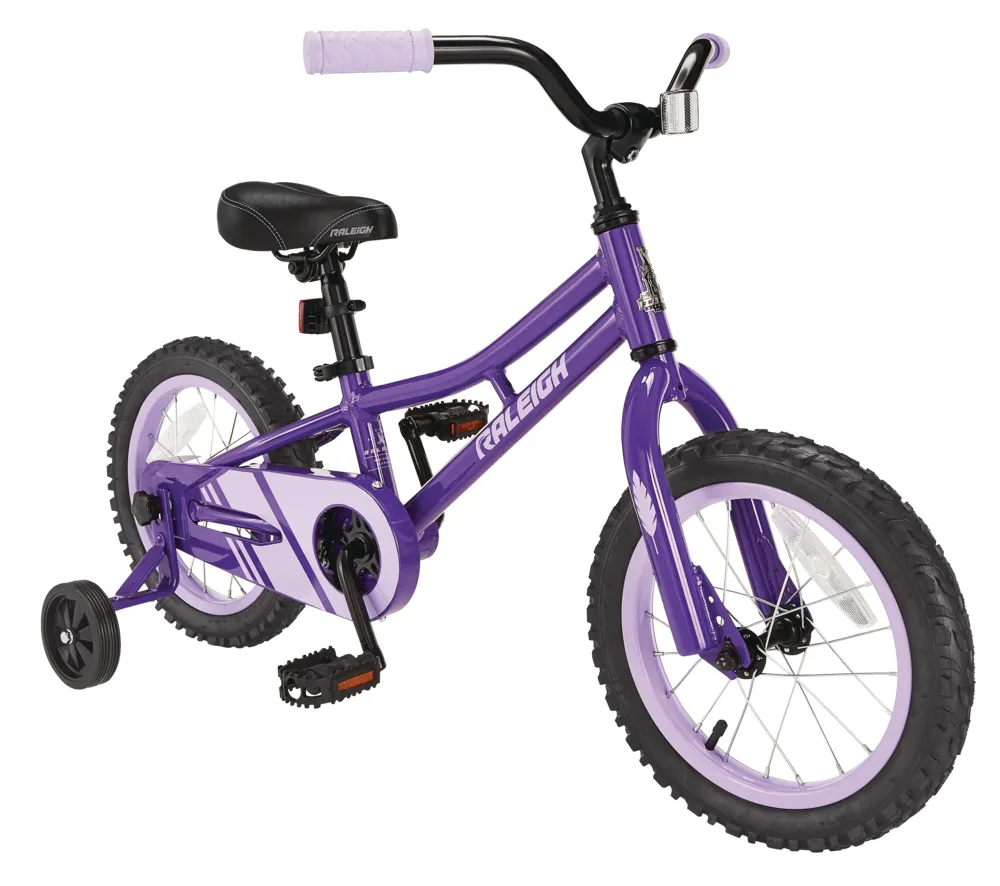 canadian tire raleigh bike