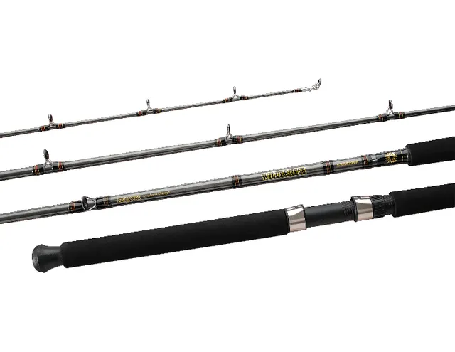 Shimano® Talora Trolling Fishing Rods, Medium-Heavy, -ft