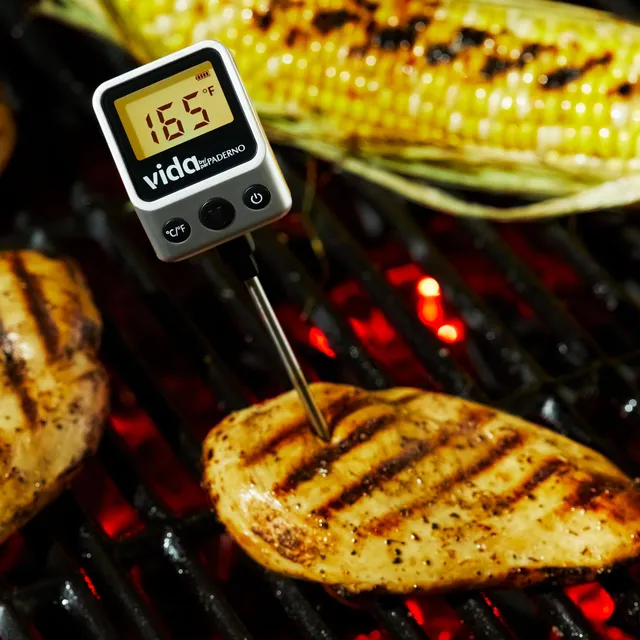 Vida by PADERNO Digital Fridge/Freezer Thermometer