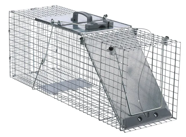 Havahart Medium Live Catch Cage Trap For Rabbits and Skunks 1 pk