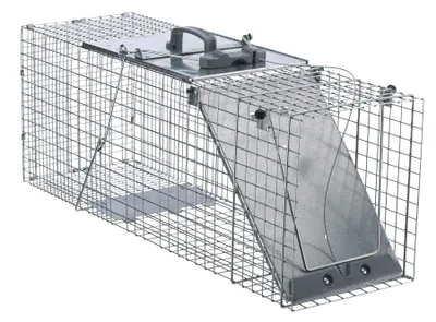 Havahart Easy Set Live Raccoon Trap, Gray, L