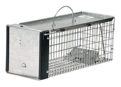 Havahart Medium Live Catch Cage Trap For Rabbits and Skunks 1 pk