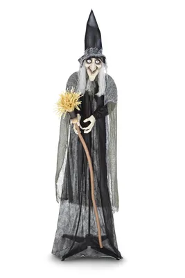 For Living Animated Standing Witch, LED Lights and Halloween Sound, 6-ft, Assorted Colours