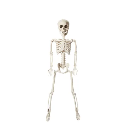 For Living Hanging Lifelike Human Skeleton, Scary Graveyard Halloween Look, White, 23 1/2-in