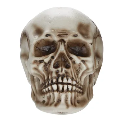 For Living Human Skull, Spooky Halloween Indoor Outdoor Bone Decorations, Beige, 10 1/4-in