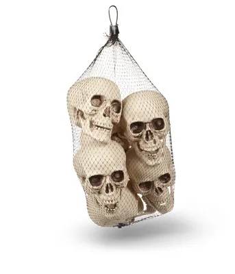 For Living Plastic Skeleton Skull Décor, 6-pc