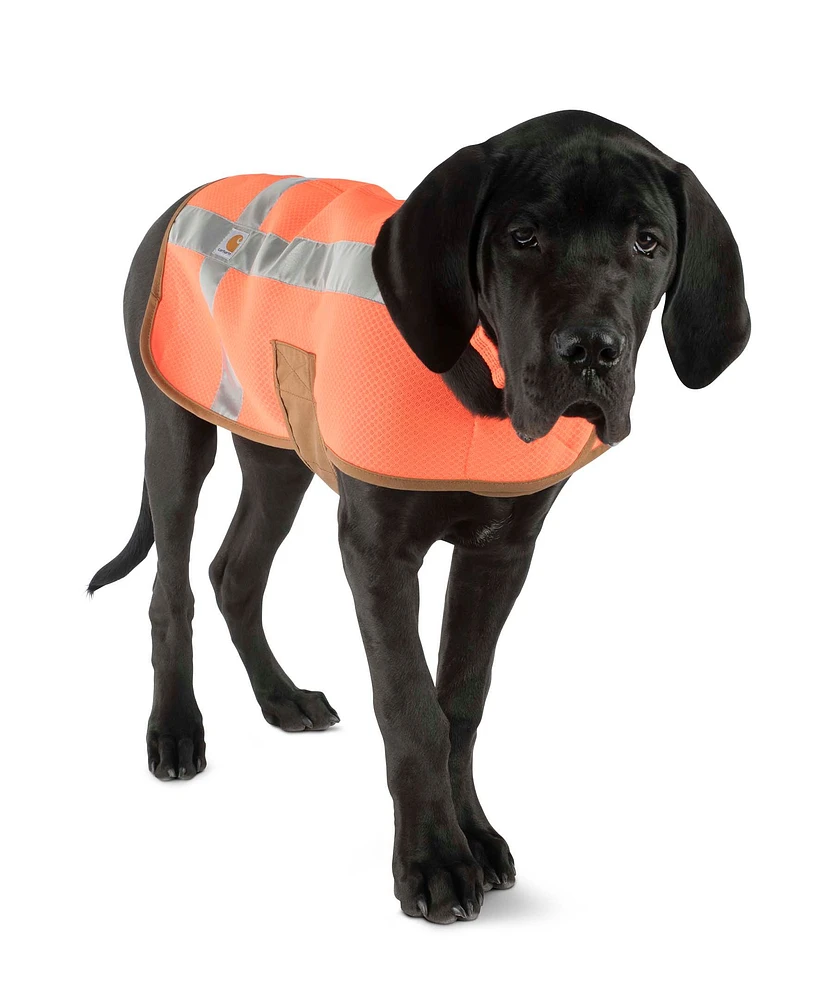 Carhartt Dog High Visibility Safety Vest - Orange