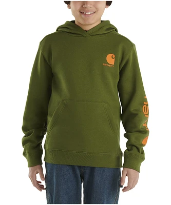 Carhartt Youth Boy's Graphic Pullover Hoodie