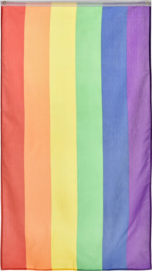 LGBTQ Fibre & Plastic Handheld Pride Rainbow Flag, 14.5-in