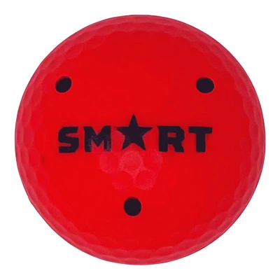 Smart Hockey 8 oz Heavy Ball