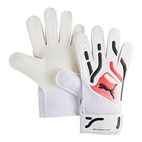 PUMA Ultra Play Senior Gloves