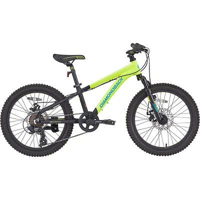 Diamondback Snake 20 Inch Junior Mountain Bike