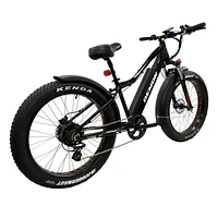 Demon Thunderbolt SL Men's Comfort Bike