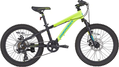 Diamondback Snake 20 Inch Junior Mountain Bike